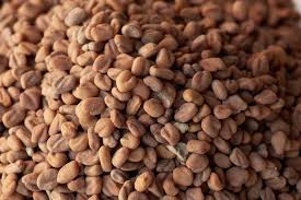 Fenugreek