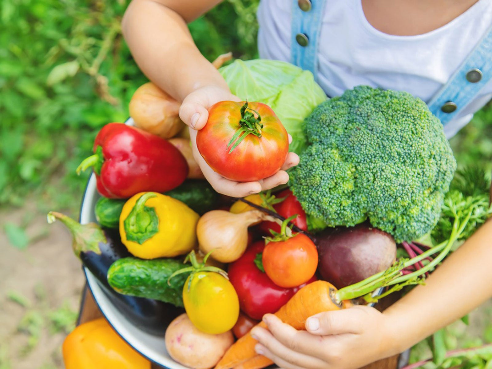 Basket of fresh vegetables